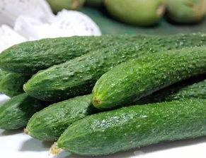 专门吃网红的瓜的网站地址,揭秘“吃瓜”网站背后的秘密与真相  第1张